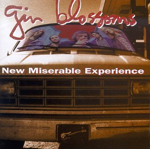Album art for Hey Jealousy by Gin Blossoms