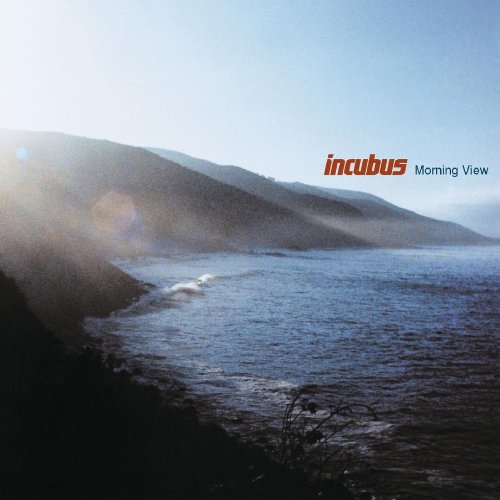 Album art for Wish You Were Here by Incubus