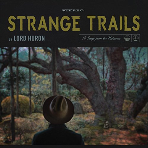Album art for The Night We Met by Lord Huron