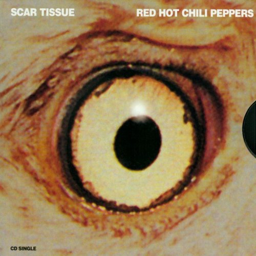 Album art for Scar Tissue by Red Hot Chili Peppers