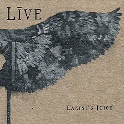 Album art for Pain Lies on the Riverside by Live