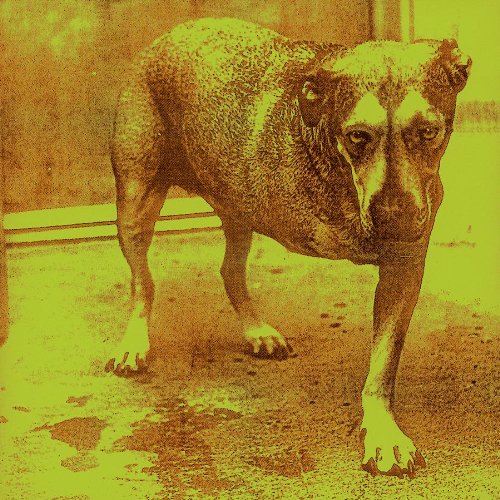 Album art for Heaven Beside You by Alice in Chains