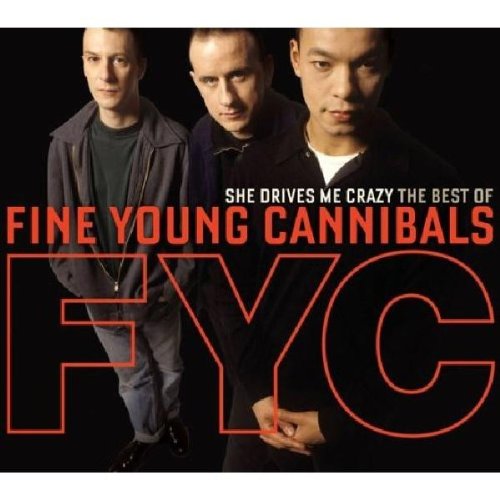 Album art for She Drives Me Crazy by Fine Young Cannibals