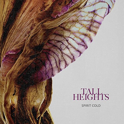 Album art for Spirit Cold by Tall Heights