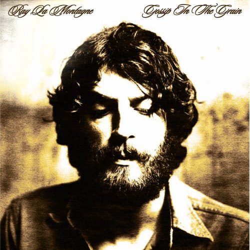 Album art for You Are The Best Thing by LaMontagne, Ray