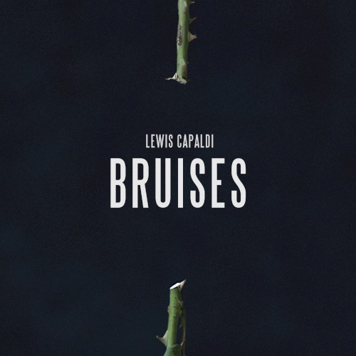 Album art for Bruises by Lewis Capaldi