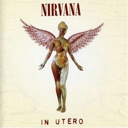 Album art for Heart-Shaped Box by Nirvana