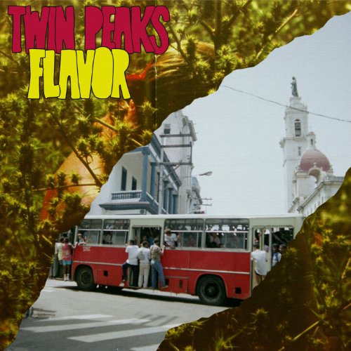 Album art for Flavor by Twin Peaks