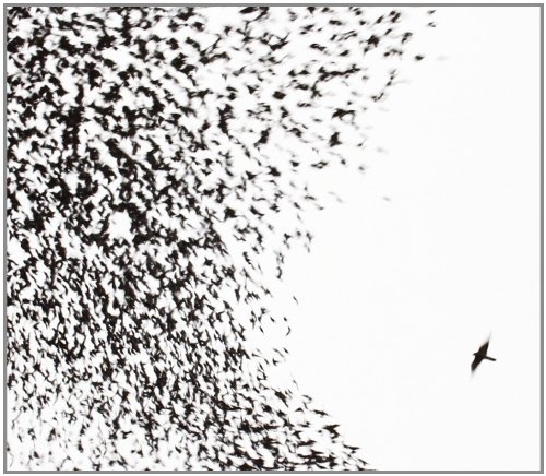 Album art for Impossible Germany by Wilco