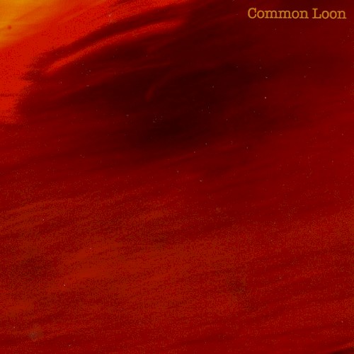 Album art for Mexico by Common Loon