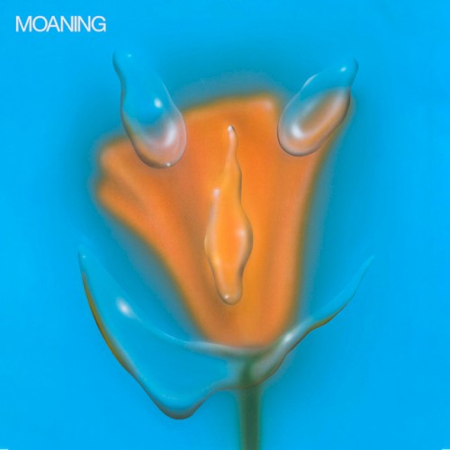 Album art for Fall In Love by Moaning