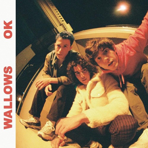 Album art for Ok by Wallows