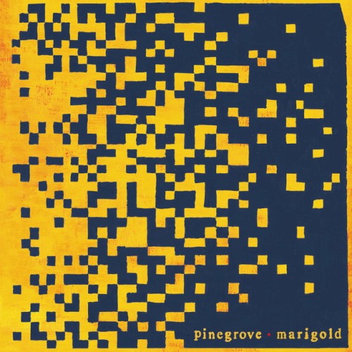 Album art for Phase by Pinegrove