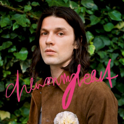 Album art for Chew On My Heart by James Bay