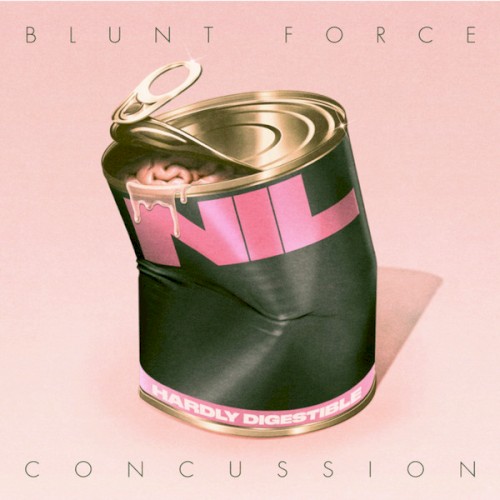 Album art for Blunt Force Concussion by The Dirty Nil