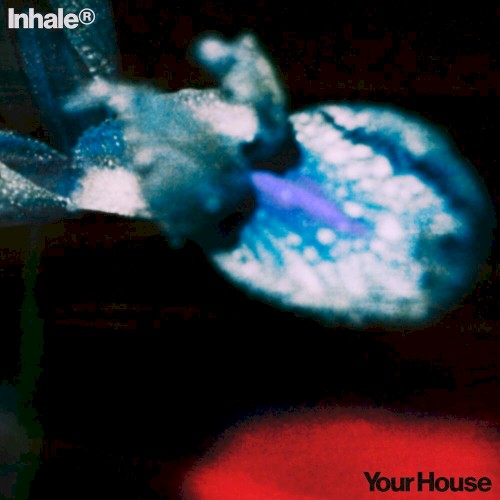 Album art for Your House by Inhaler