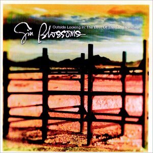 Album art for Allison Road by Gin Blossoms