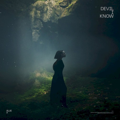 Album art for Devil I Know by Allie X