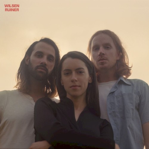 Album art for Ruiner by Wilsen