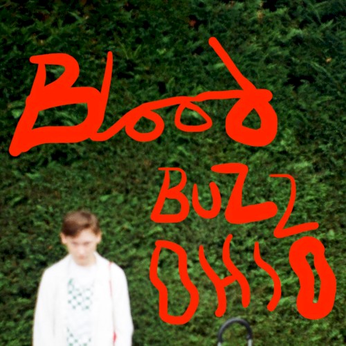 Album art for Bloodbuzz Ohio by SOAK