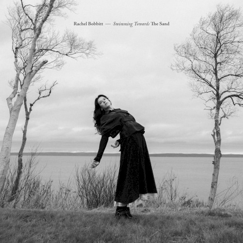 Album art for Deer On The Freeway by Rachel Bobbitt