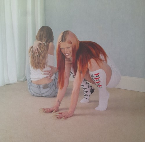 Album art for catch these fists by Wet Leg