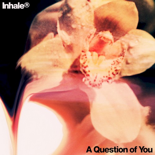 Album art for A Question of You by Inhaler