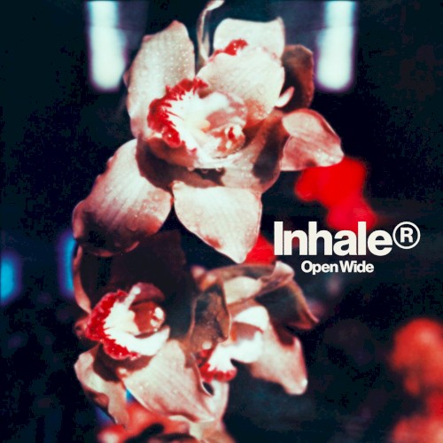 Album art for Open Wide by Inhaler