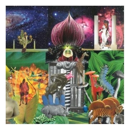 Album art for Can You Feel It? by Apples In Stereo, The