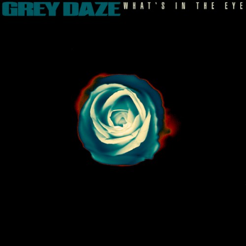 Album art for What's in the Eye by Grey Daze