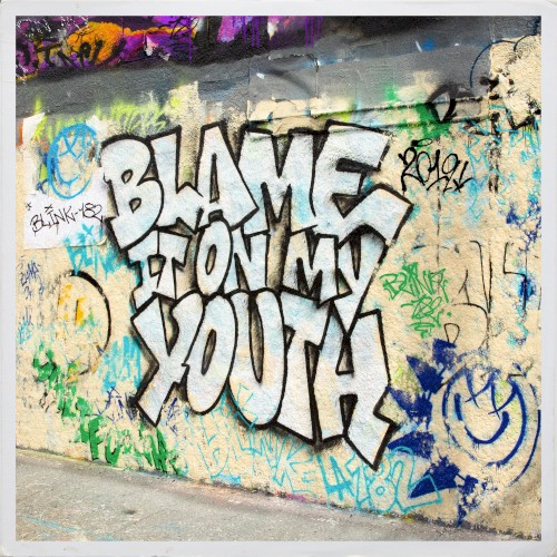 Album art for Blame It On My Youth by blink-182